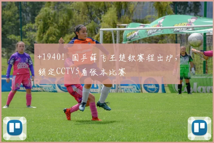 +1940！国乒薛飞王楚钦赛程出炉，锁定CCTV5看张本比赛