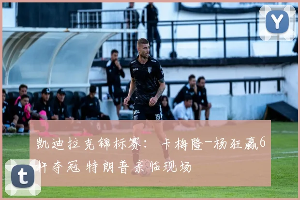 凯迪拉克锦标赛:卡梅隆-杨狂赢6杆夺冠 特朗普亲临现场