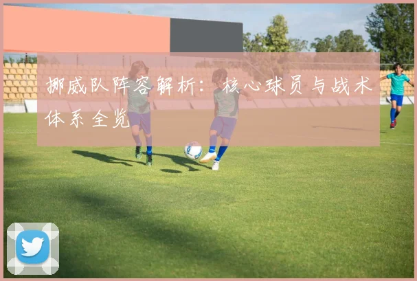 挪威队阵容解析:核心球员与战术体系全览
